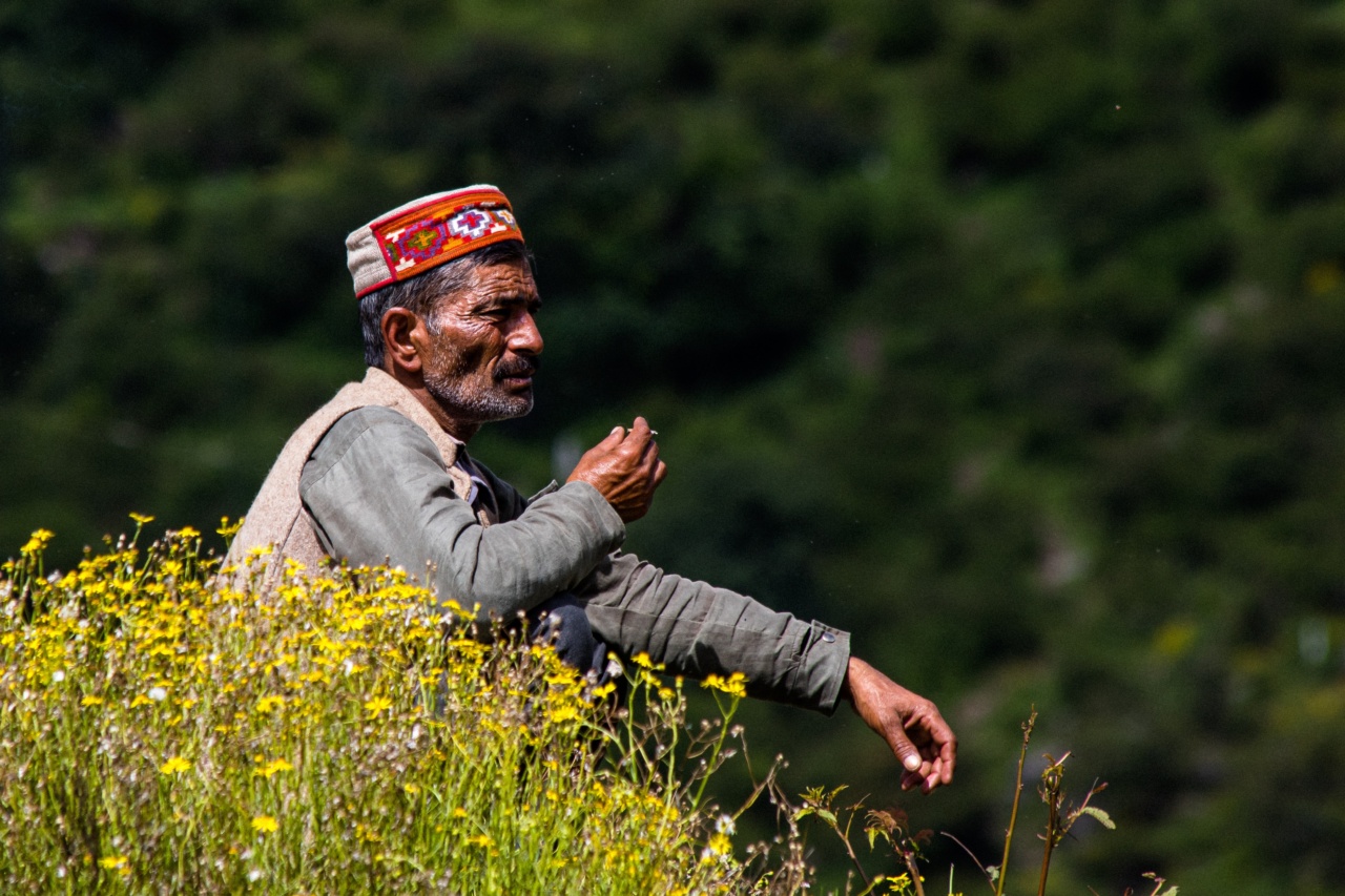 30 alternatives to traditional smoking methods
