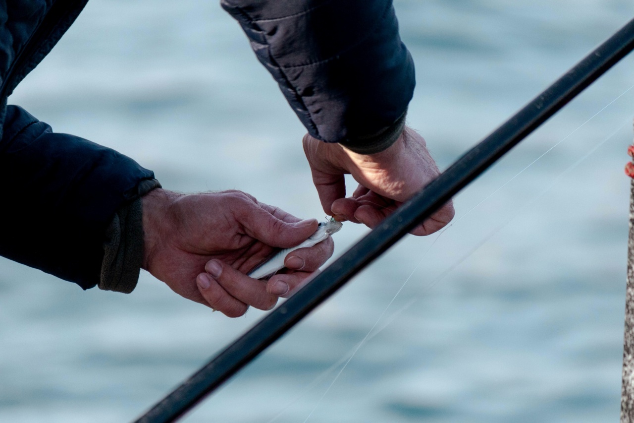 Consequences of inaccurate fish labeling