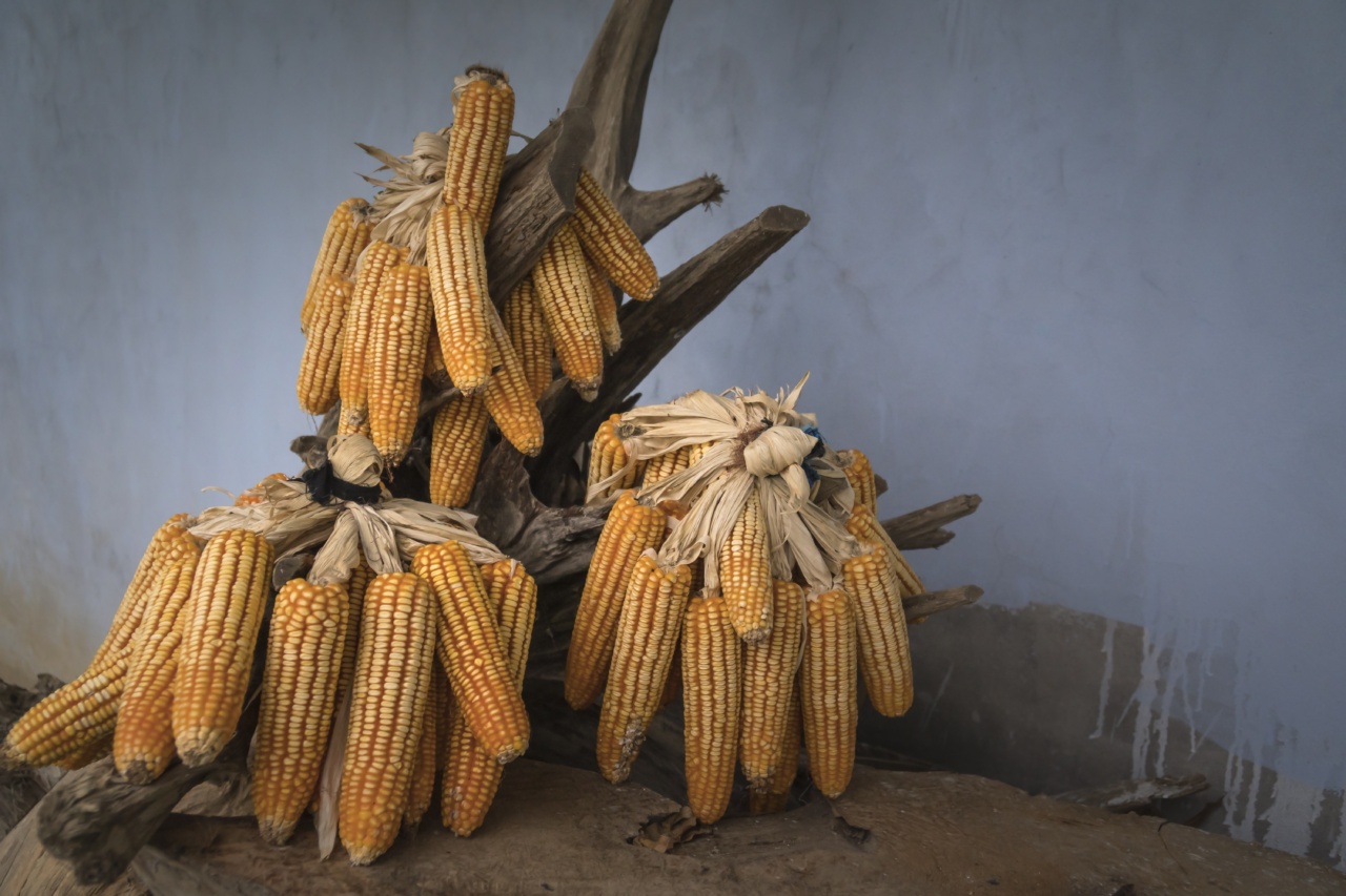 The Health Benefits of Dried Figs