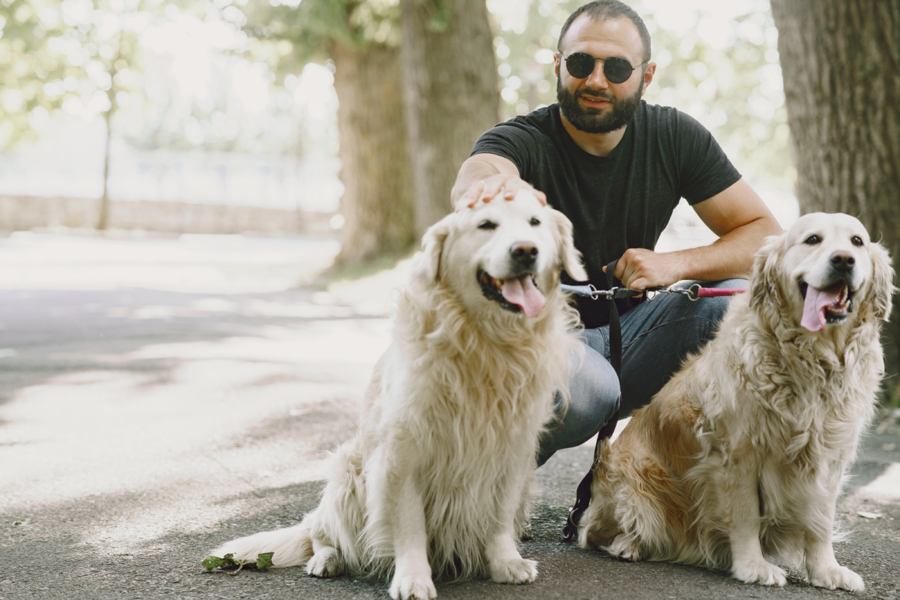 Assistance animals on US airlines must be accompanied by trained dogs