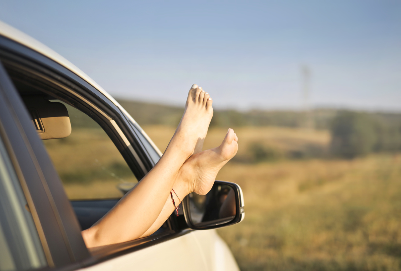 Owning Your Pleasure: Navigating the Landscape of Female Desire
