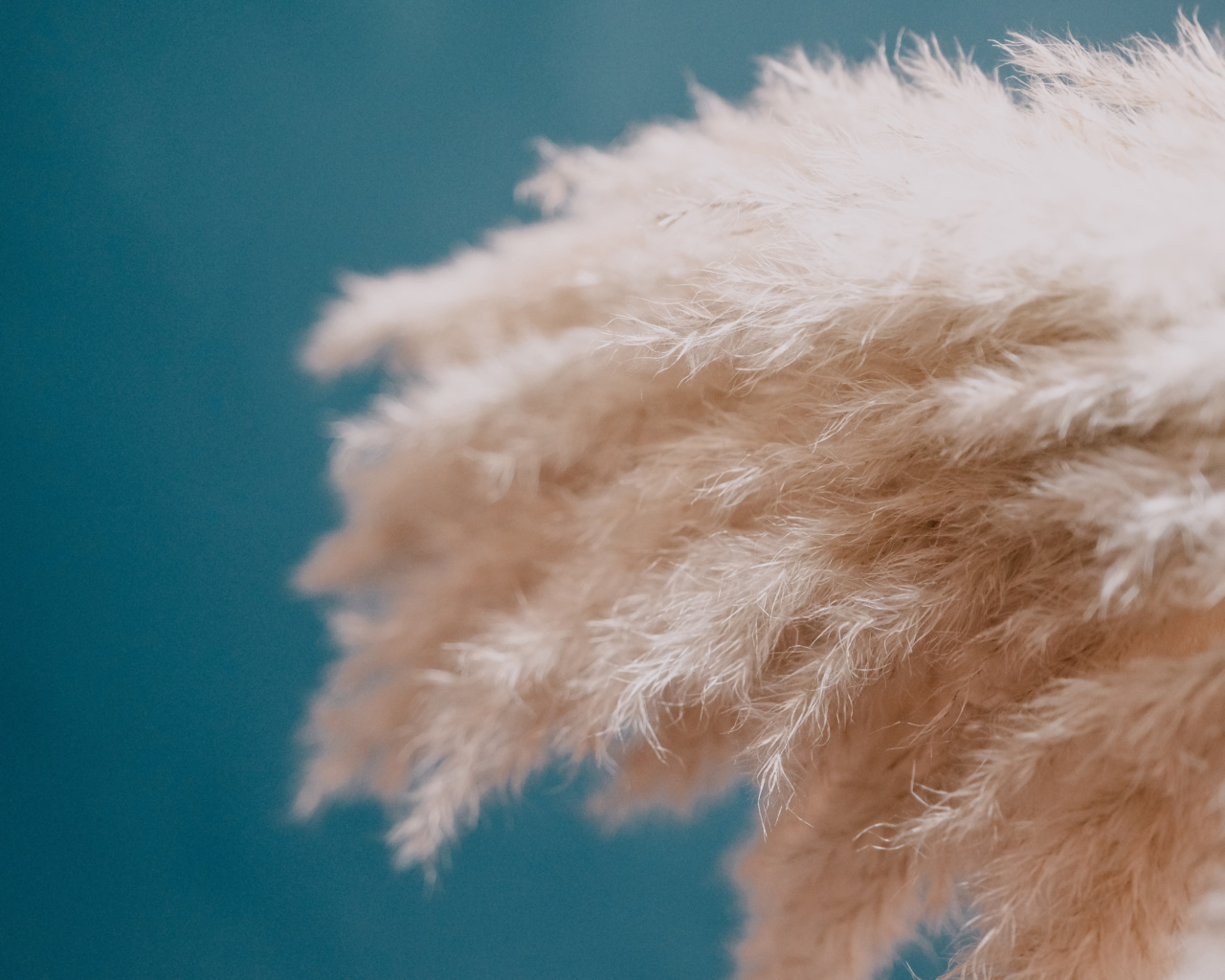 Transform thin hair into thick with these 3+1 tricks