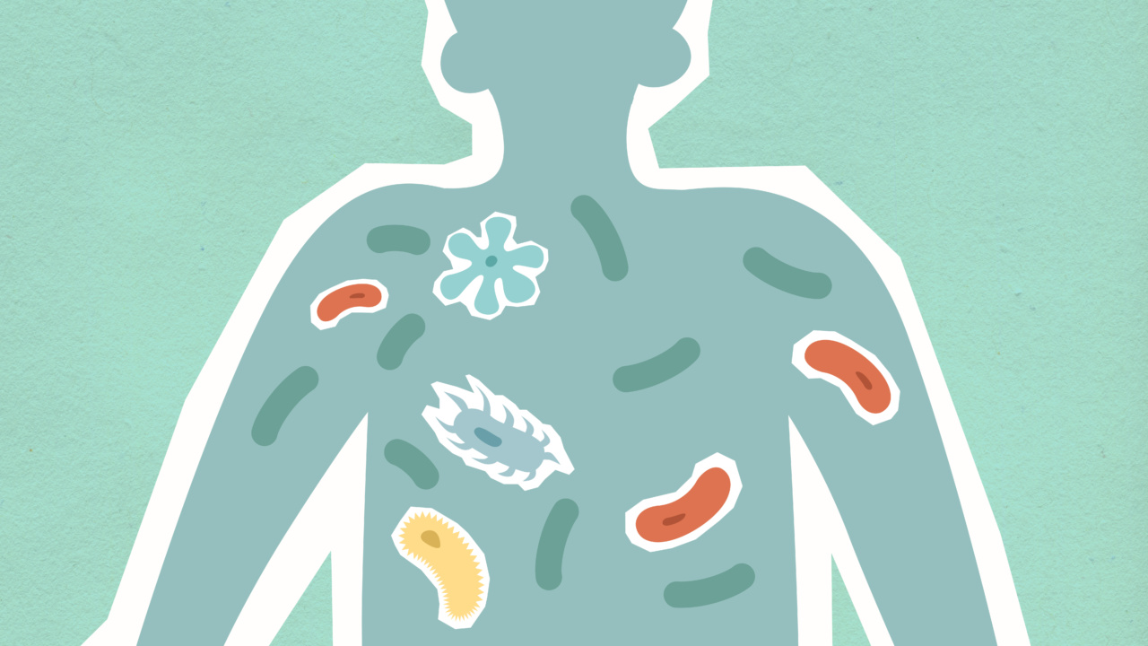 The Science of Stress: How it Impacts the Human Body