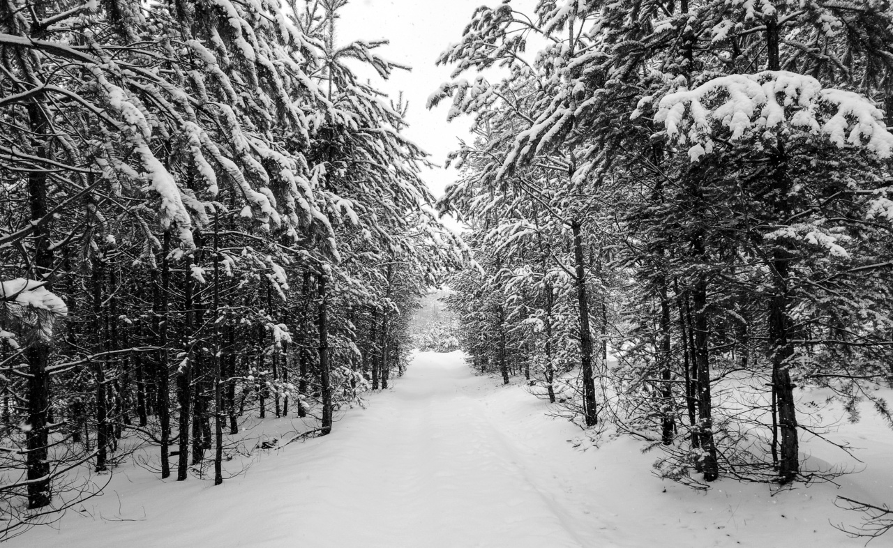 Seasonal link between winter and pregnancy