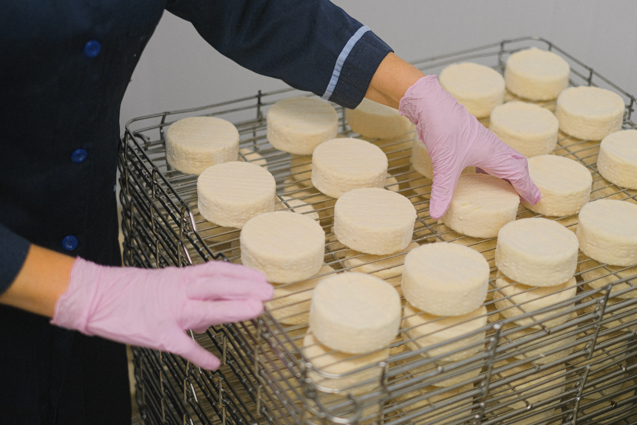 Nourishing Your Bones: Beyond Milk and Cheese