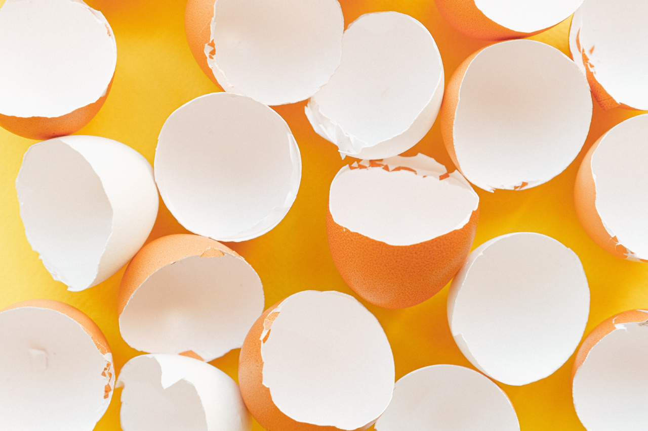 Common Food Myths Broken Down