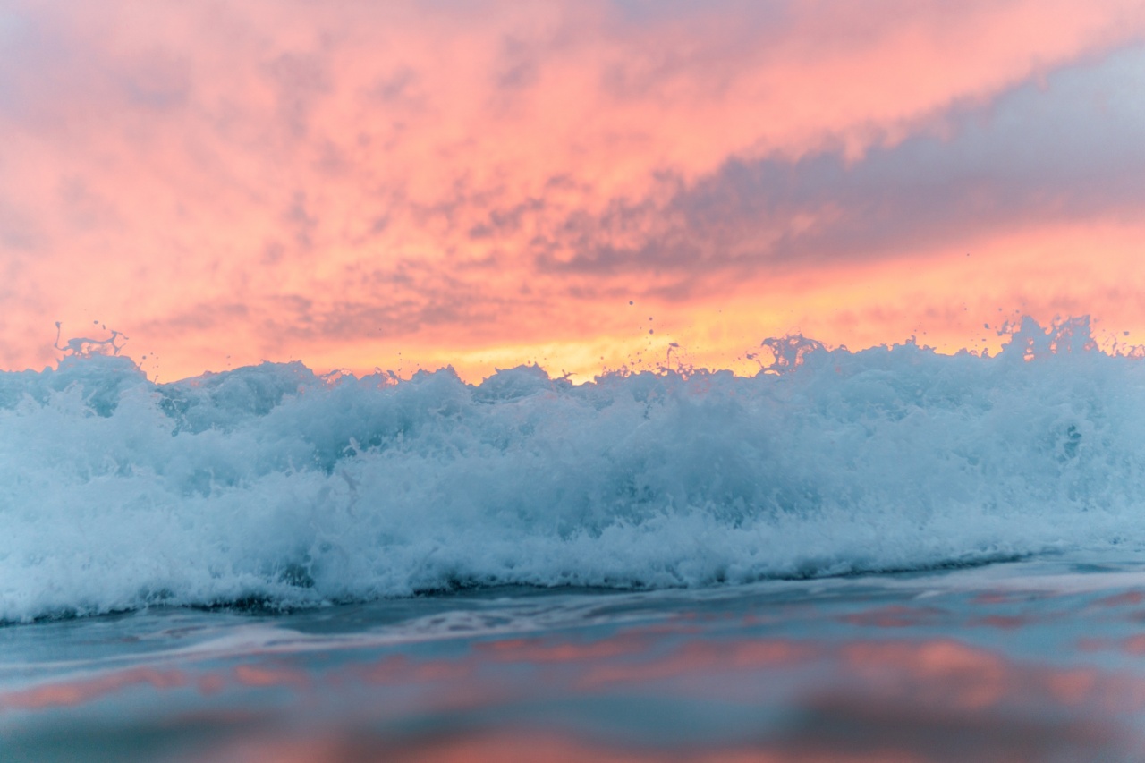 30 Ways to Protect Your Hair from Sun, Chlorine, and Seawater
