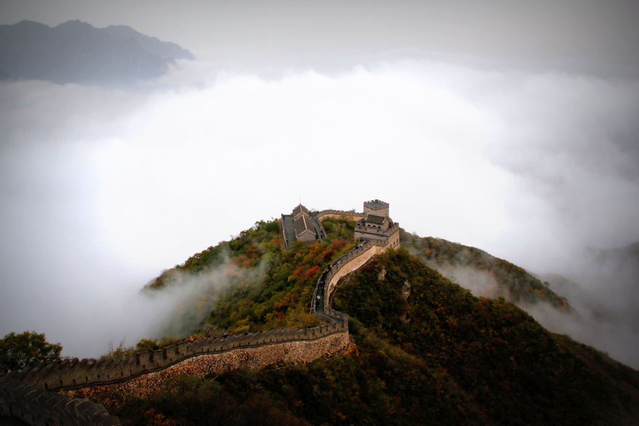 Discovering the Historical Significance of Suction Cups in China