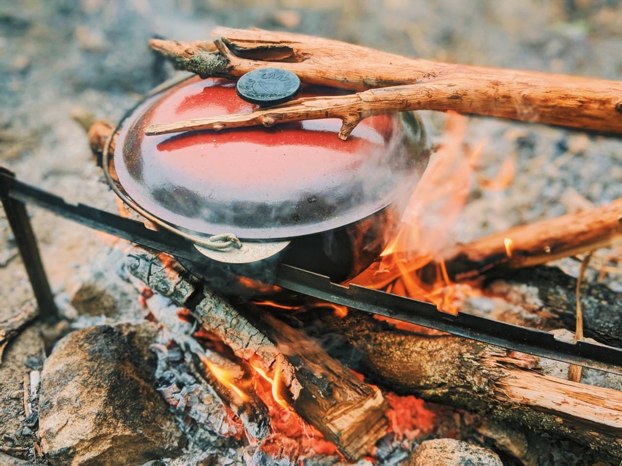 Foods That Ignite Your Metabolism