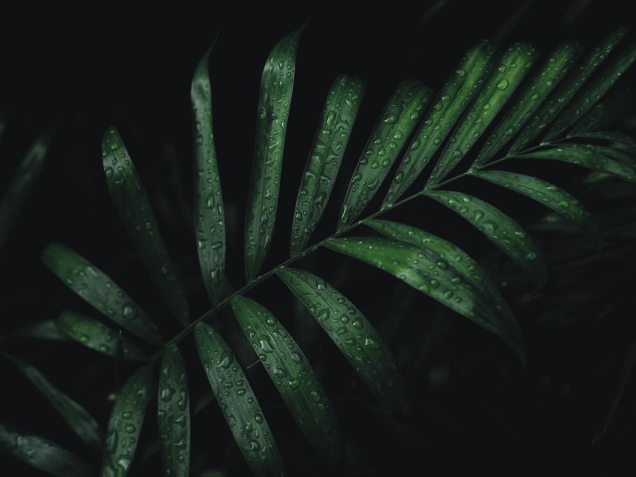 Resilience and growth after a disappointing Panhellenic exhibition