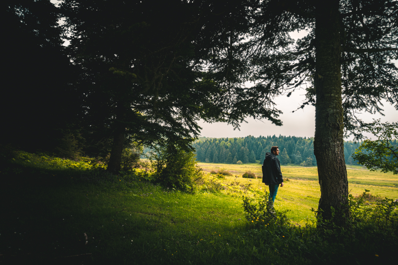 Effective Methods for Contemplation