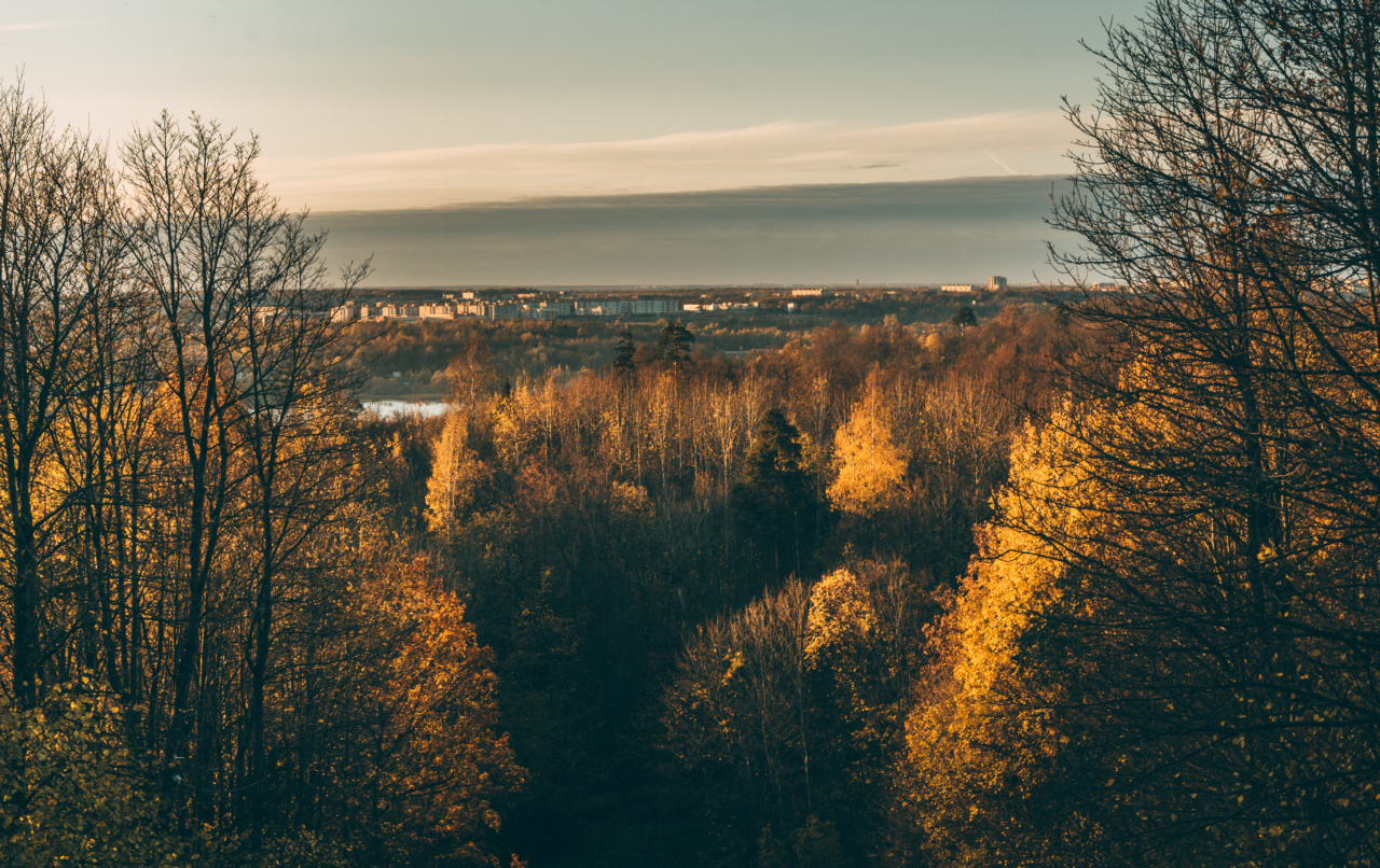 Cold Weather Survival 101: The 4 Golden Rules to Follow