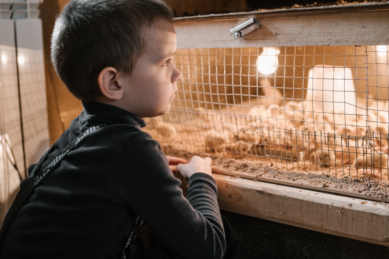Understanding Chicken Gastroenteritis: Symptoms to Watch For