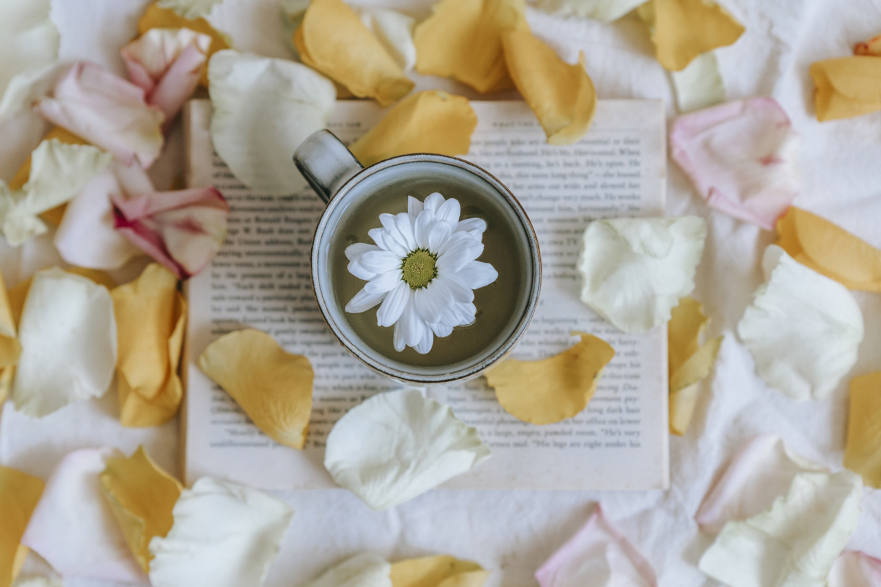 The Top 7 Reasons to Start Drinking Green Tea