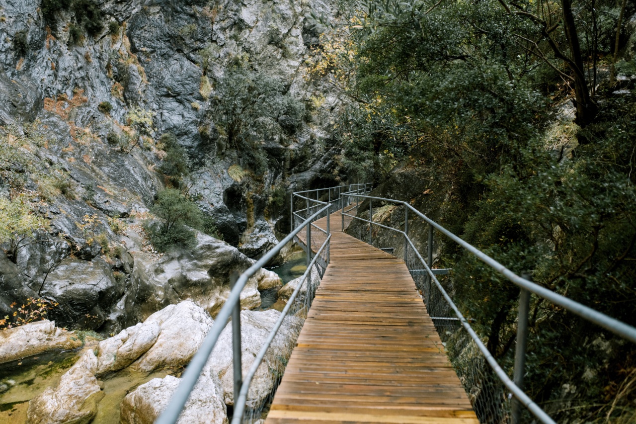 Kiliokakis’s Journey: One Patient’s Triumph Over Adversity