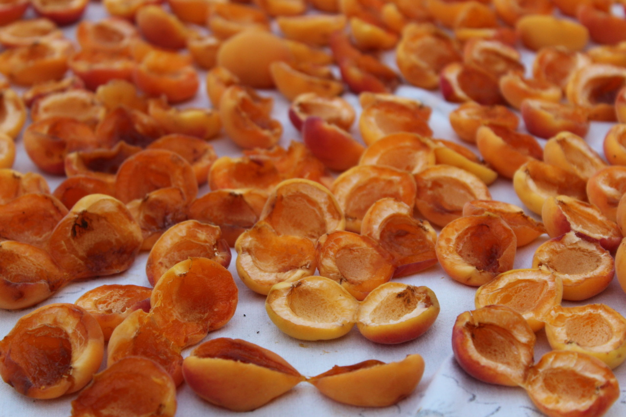Why adding dried fruits to your diet is a smart choice
