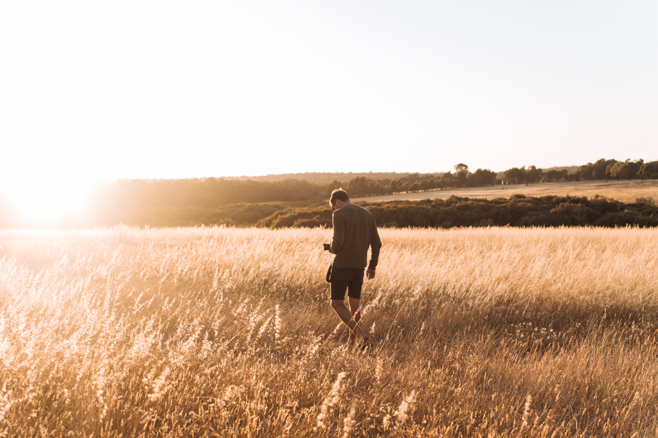 Why you should walk in the morning