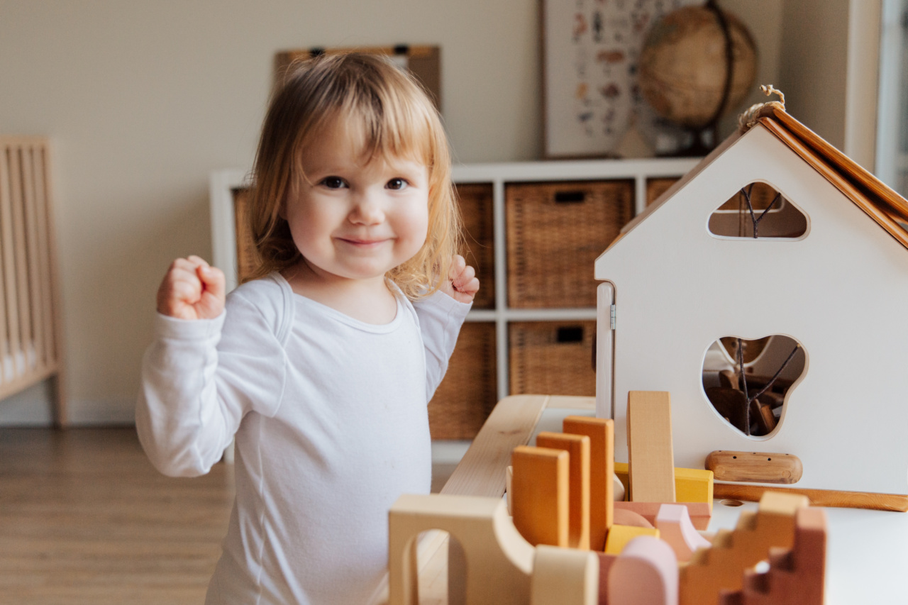 Which toy will bring the most joy to the kiddo?