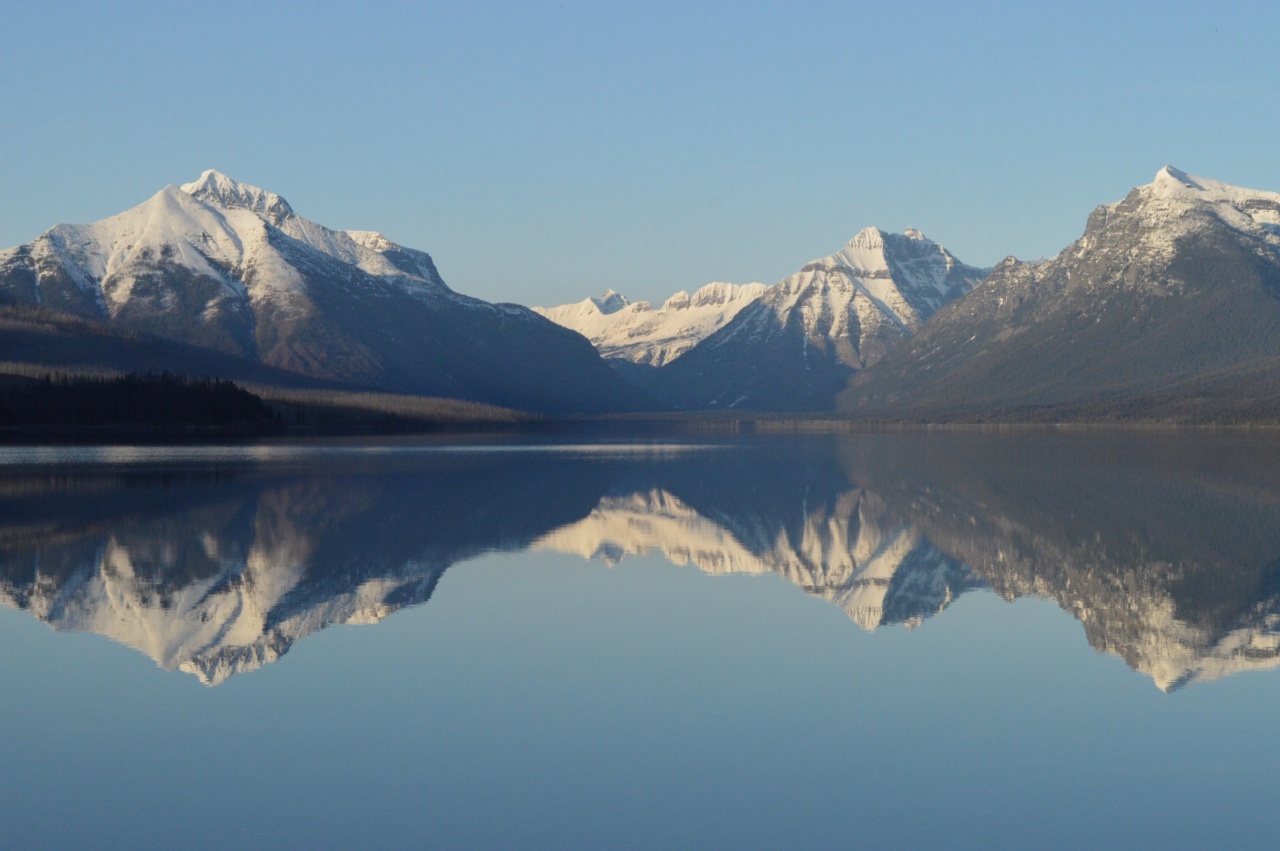 Frosty Fuel: Energize for Peak Performance