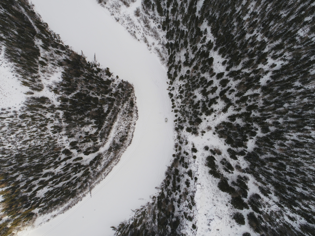 6 proven movements to alleviate your cold