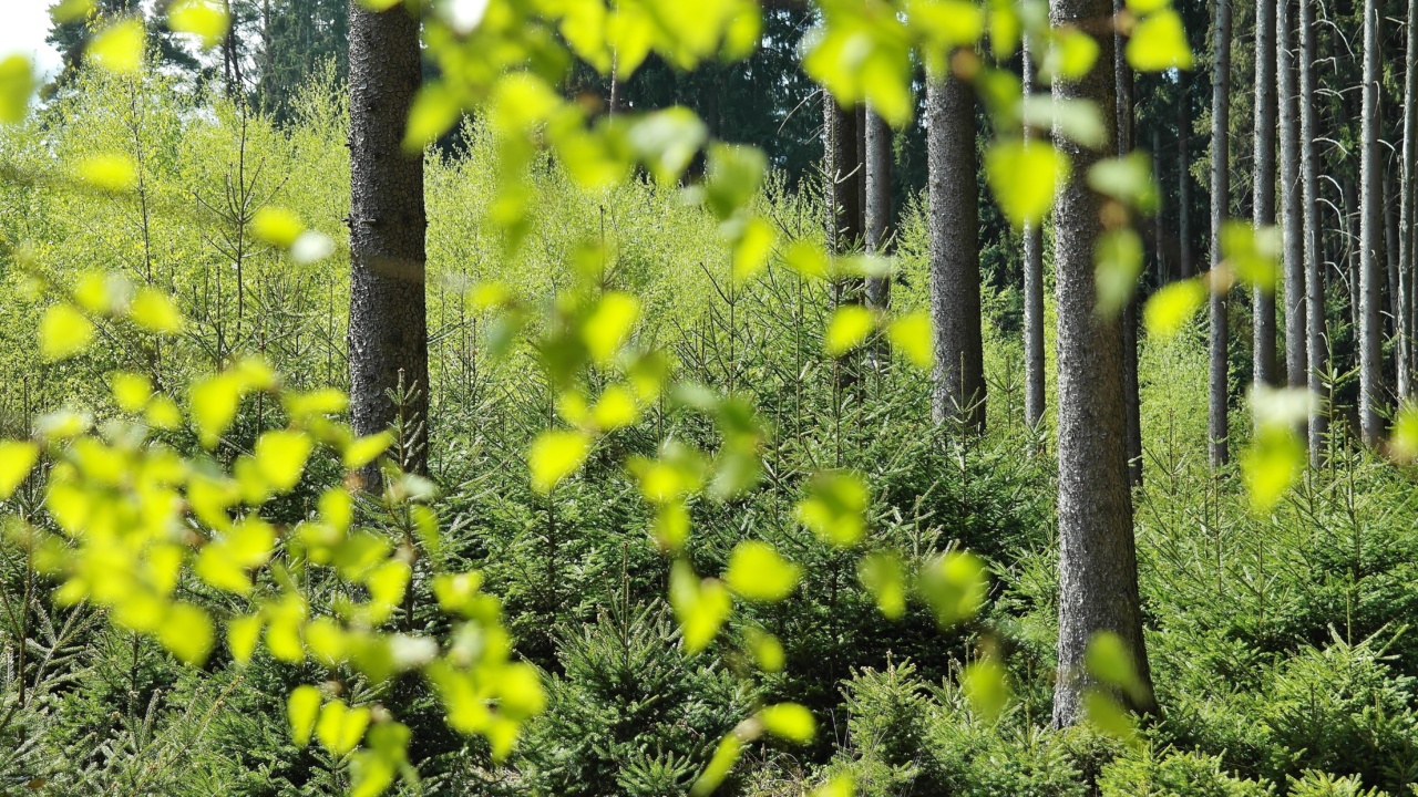 Protection Plans for Agricultural Landowners