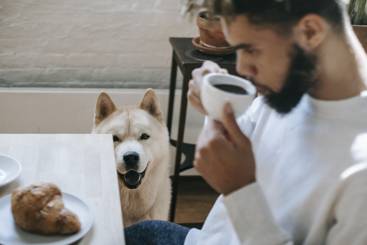 Unveiling the relationship of caffeine and erections