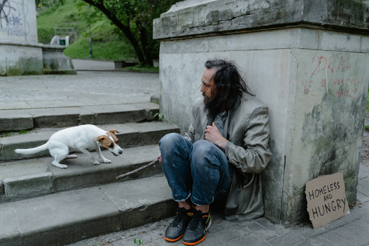 5 common reasons for poor dog behavior