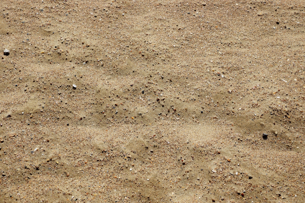 Understanding Dust Mites and Their Treatment