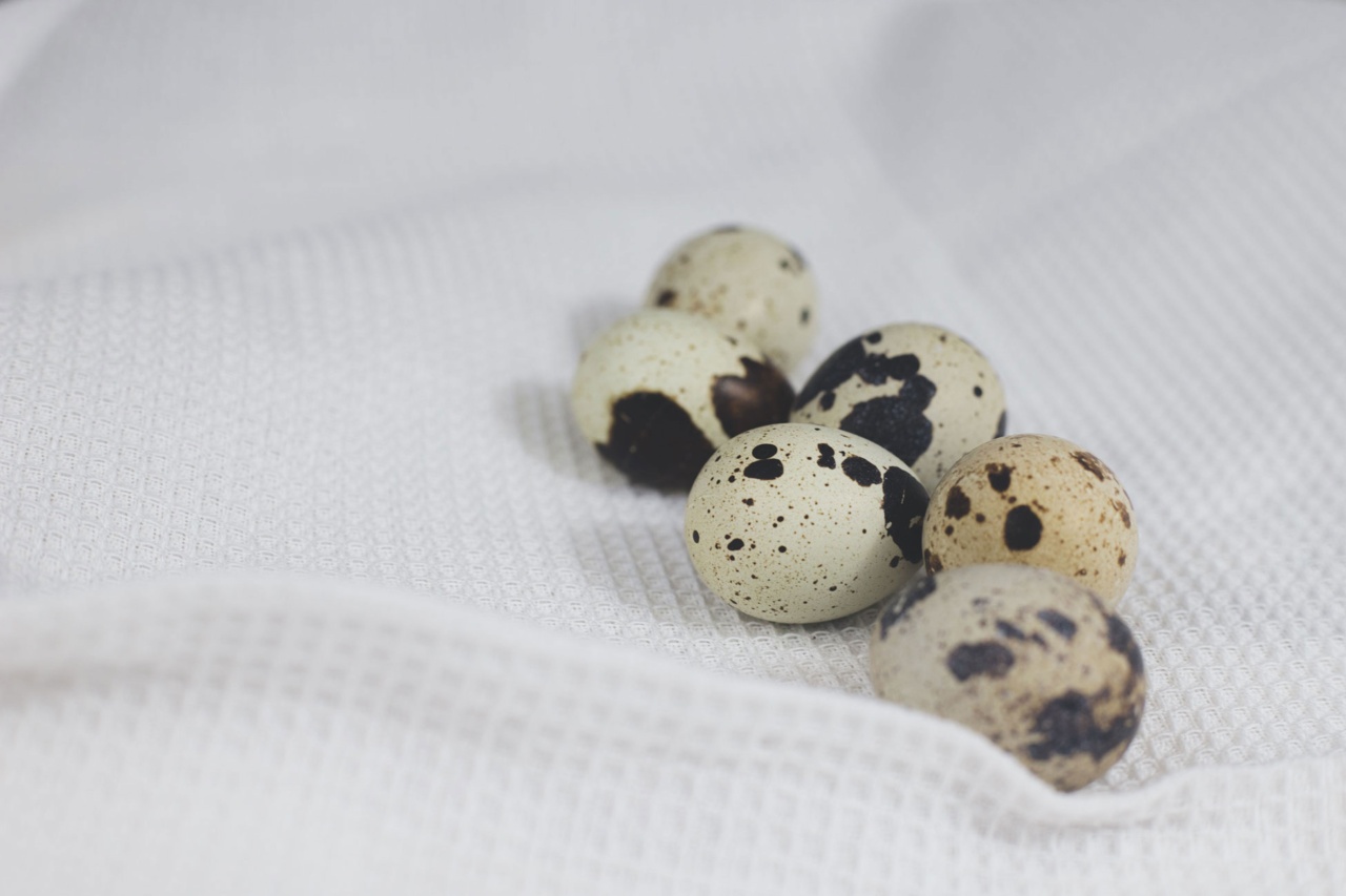 Why do Some Eggs Have White Shells While Others are Brown?
