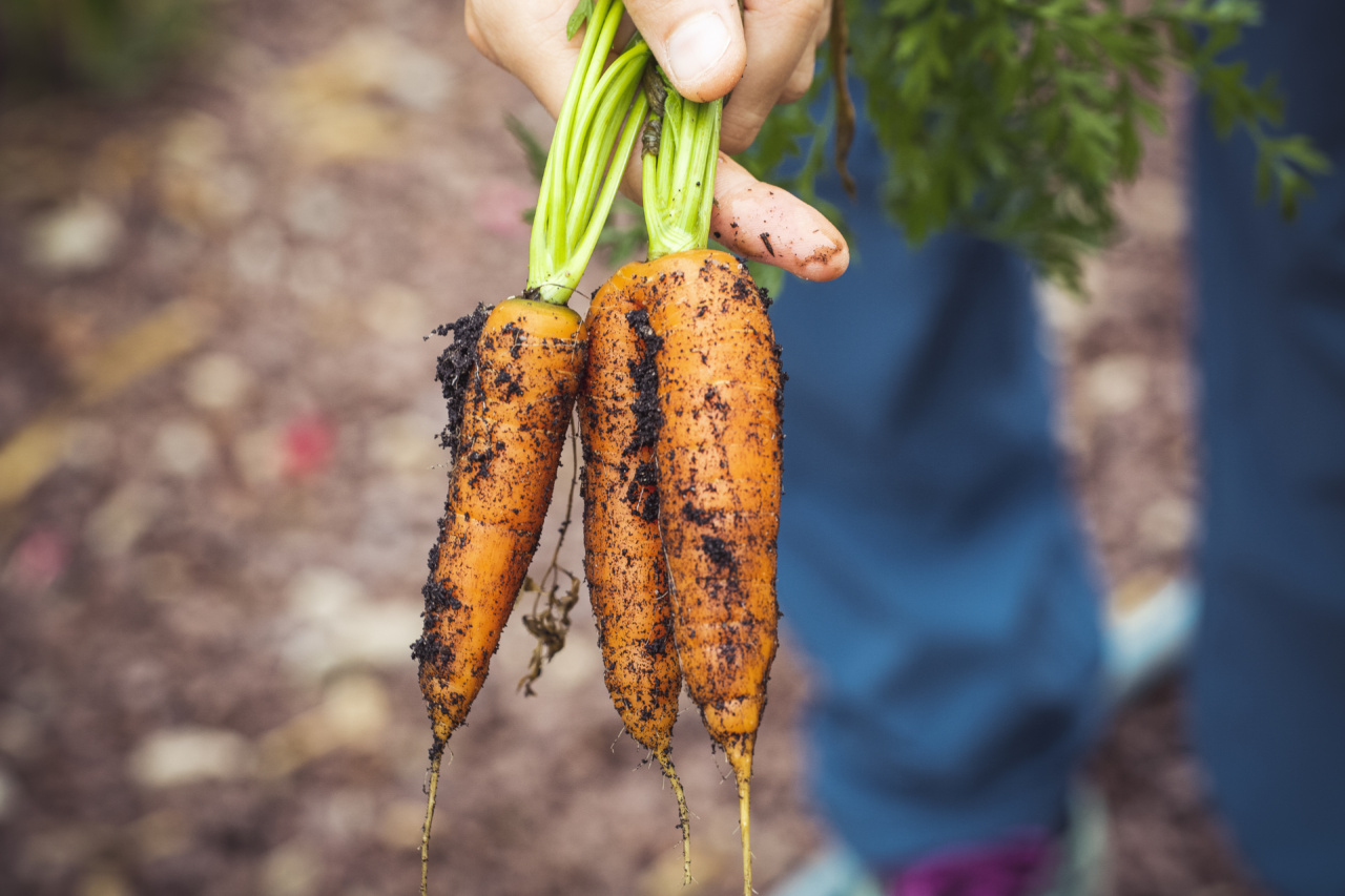 The immune-boosting, lung-supporting, heart-healthy orange veggie