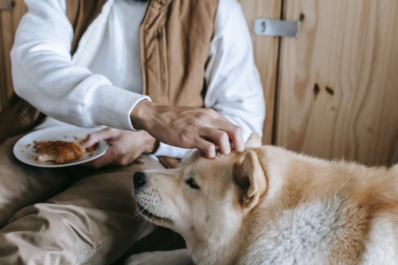 Breakfast Habits that Lower Stroke Risk