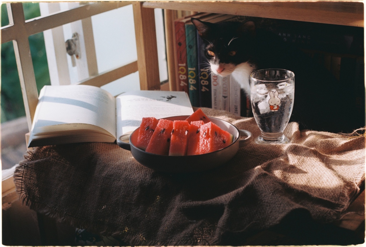Reveal how many glasses of water you ingest with a watermelon snack