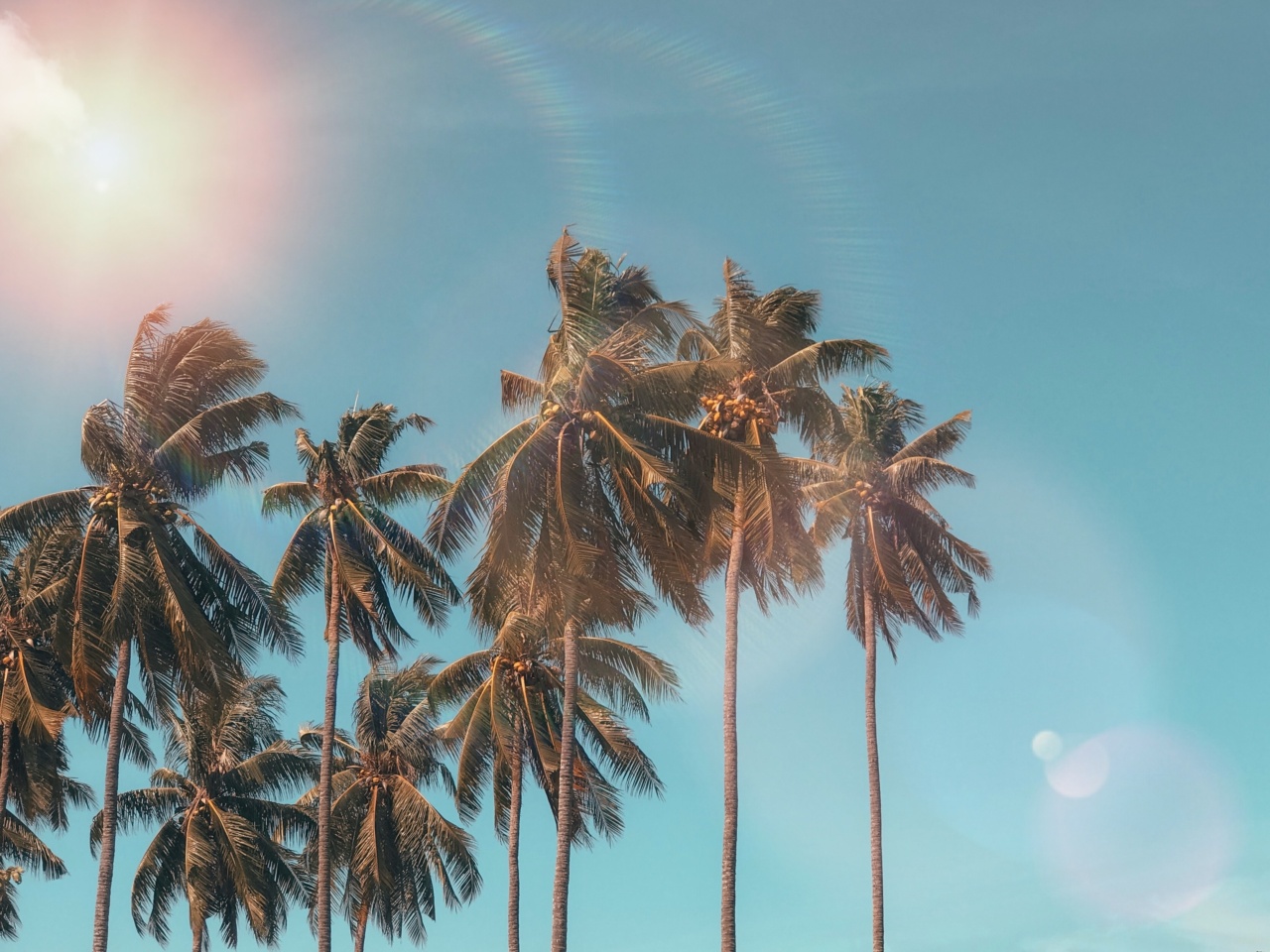 Coconut oil: A natural brain protector
