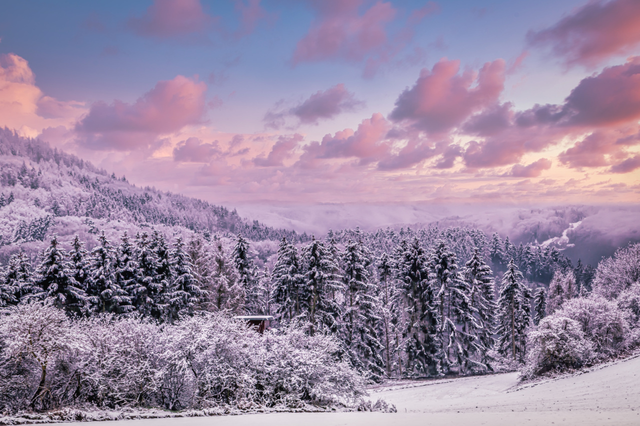 Winter Wonderland Cuisine: Snowballs