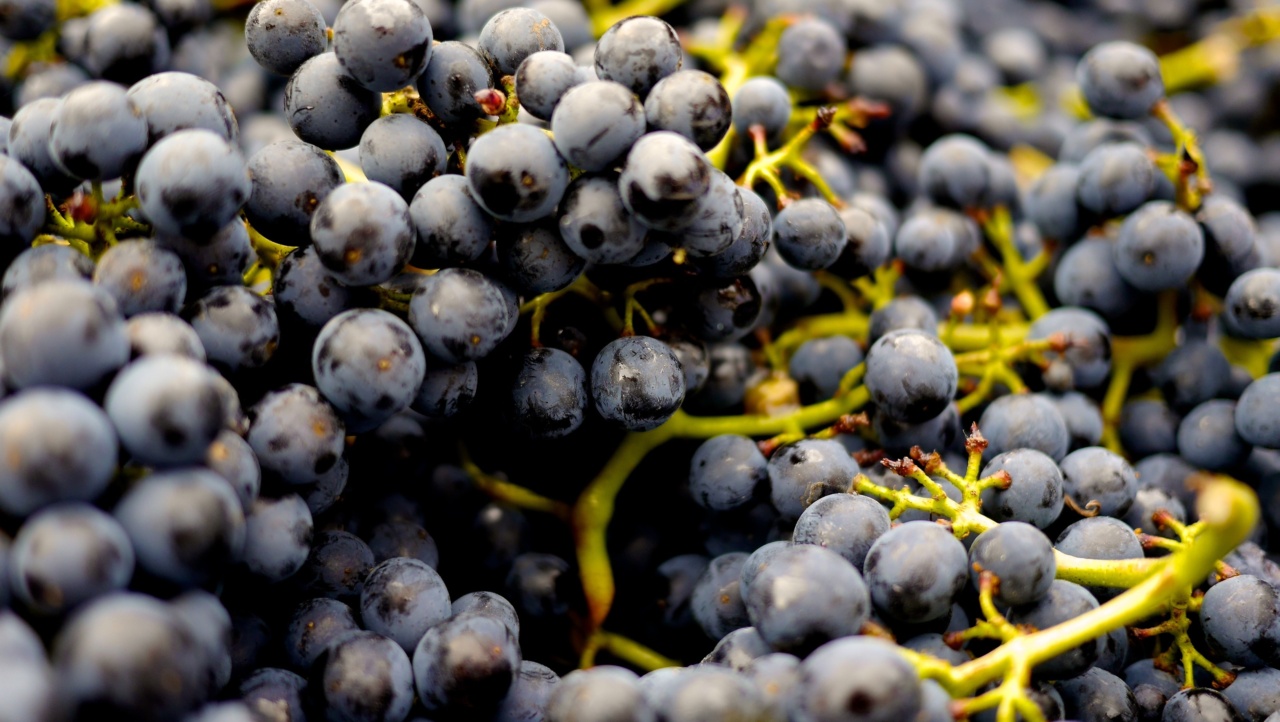 Maximizing nutrition with alcohol consumption