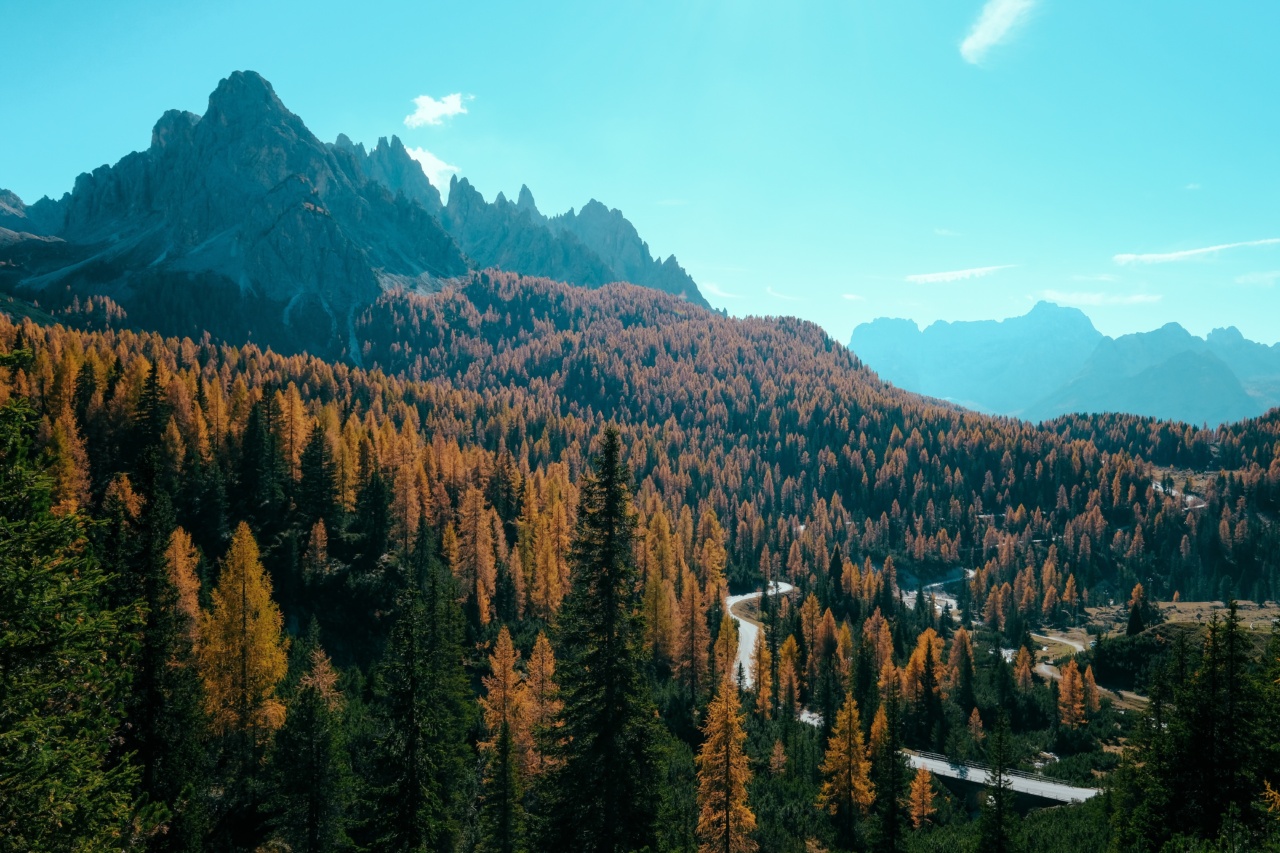 Conquering Autumn Blues: 4+2 Tips for a Happier Season