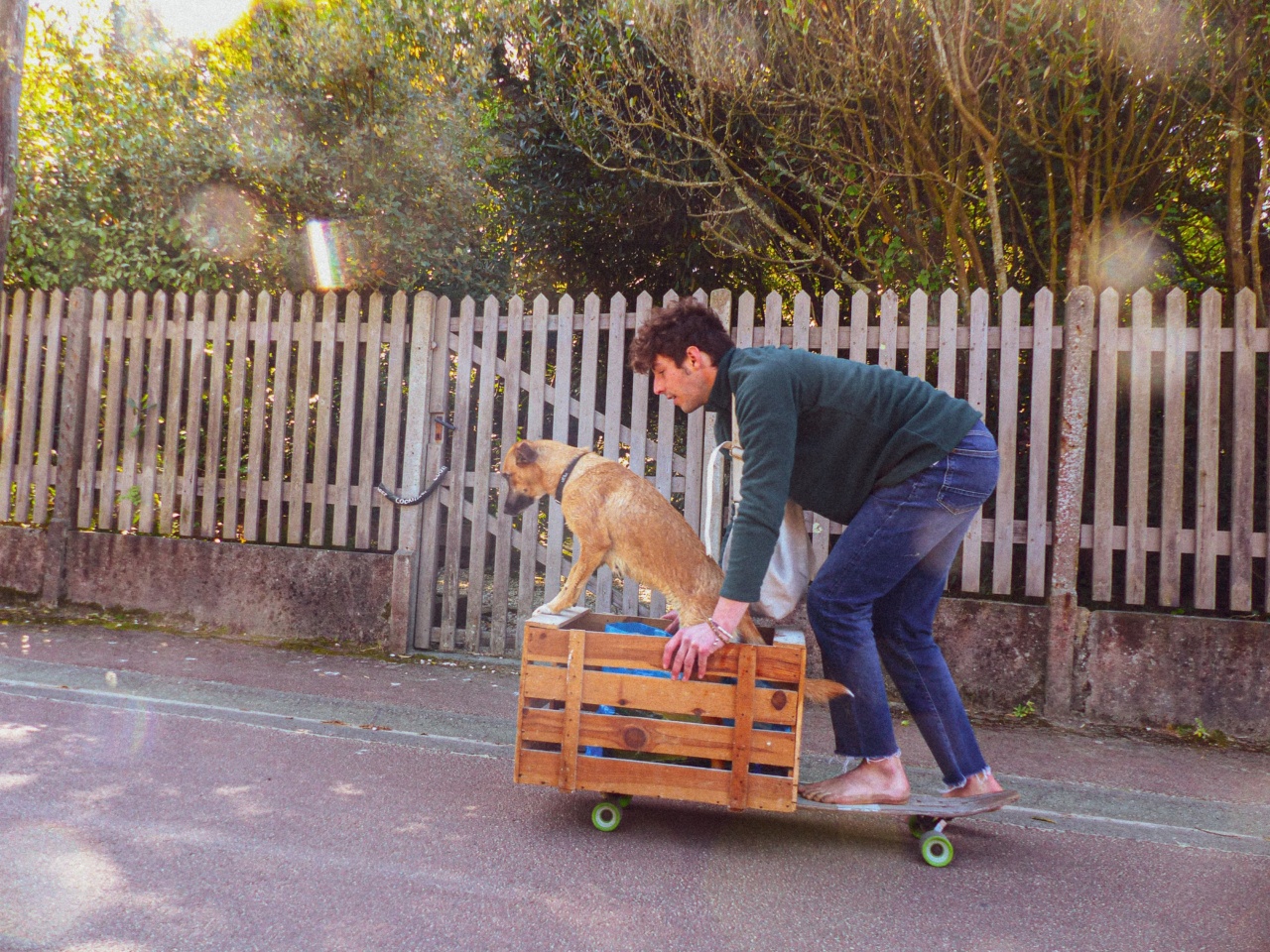 Dog took his skateboard and went for a ride