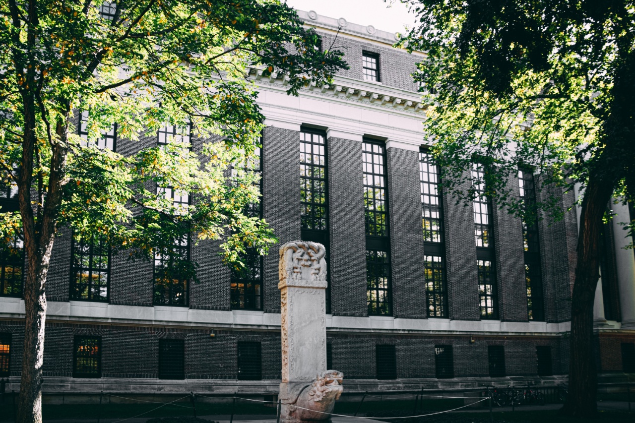 Harvard University: Tackle inflammation for longevity
