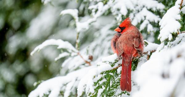 Common causes of frozen fingers