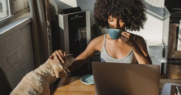 Why is my dog suddenly making a mess indoors?