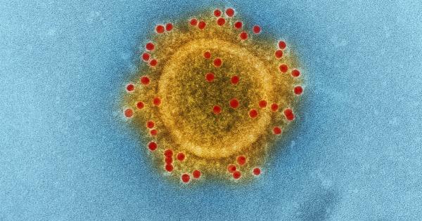 Banana’s nutritional breakdown in microscopic analysis