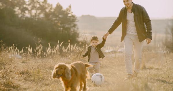 Teaching Your Dog to Love Playing Ball