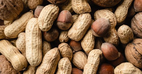 Examining the Nutritional Profiles of Hazelnuts and Aegina Peanuts