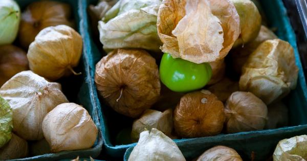 Healthy Superfoods: The Benefits of Dried Fruits