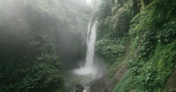 The View of a Waterfall with Glaucoma and Macular Degeneration