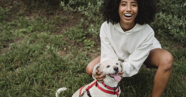Tips to Stop Your Dog from Chewing on Their Leash