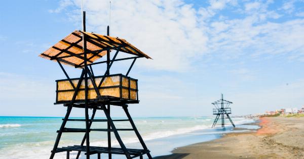 The Ocean – Rebel Waves that Protect Memories and Calm Inflammation