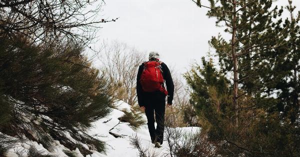 Walking in Frosty Weather: How to Stay Comfortable