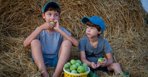 Why You Should Sip on Apple Cider Before Hitting the Hay
