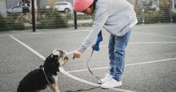 Animal Advocacy: Teaching Children to Stand up for Animals’ Rights